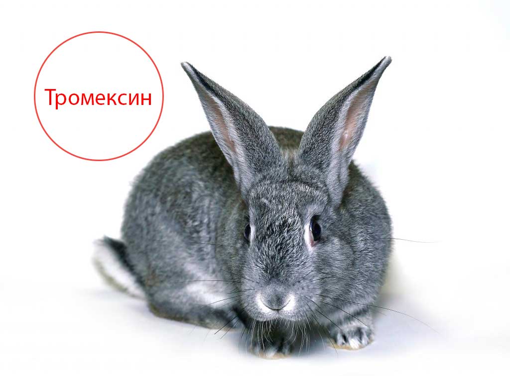 Тромексин