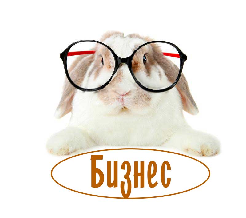 Бизнес план