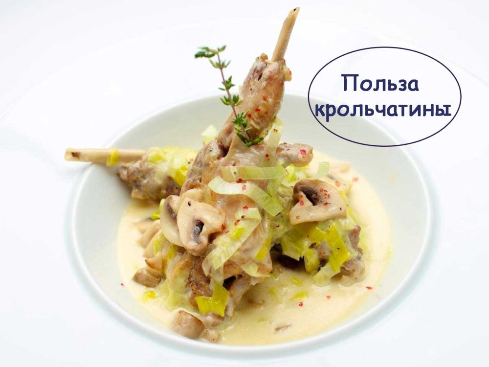 Польза крольчатины