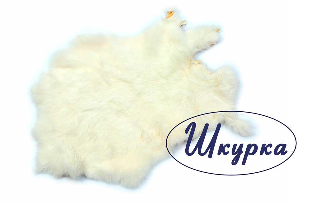 Шкурка-кролика