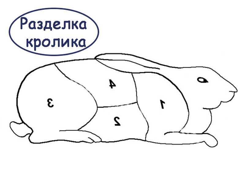 Разделка кролика