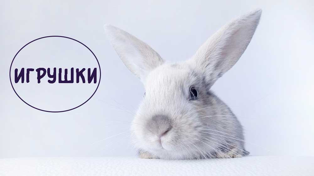 Игрушки для кроликов