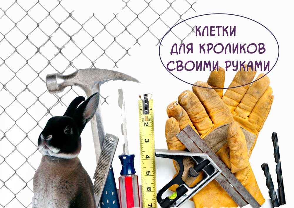 Клетки-для-кроликов-своими-руками https://pushistiymir.ru