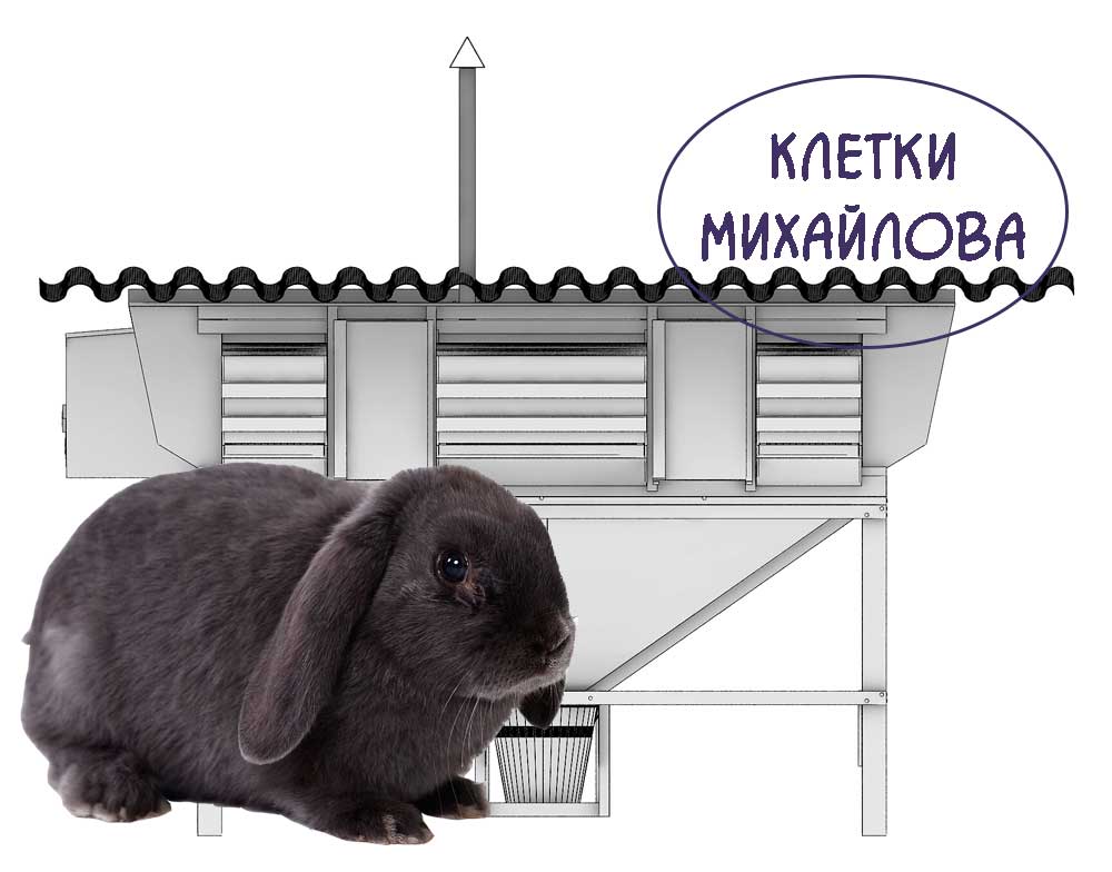 Клетки-по-методу-Михайлова https://pushistiymir.ru
