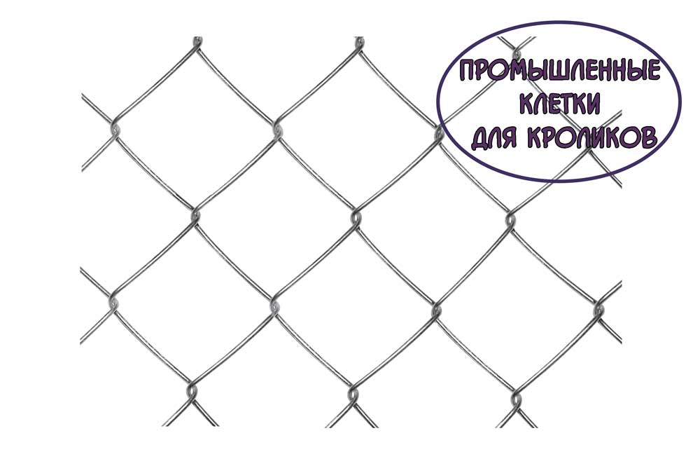 Промышленные-клетки-для-кроликов https://pushistiymir.ru
